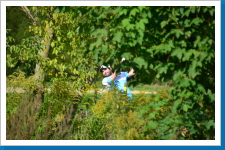 Klicken Sie auf das Bild, um es zu vergrößern